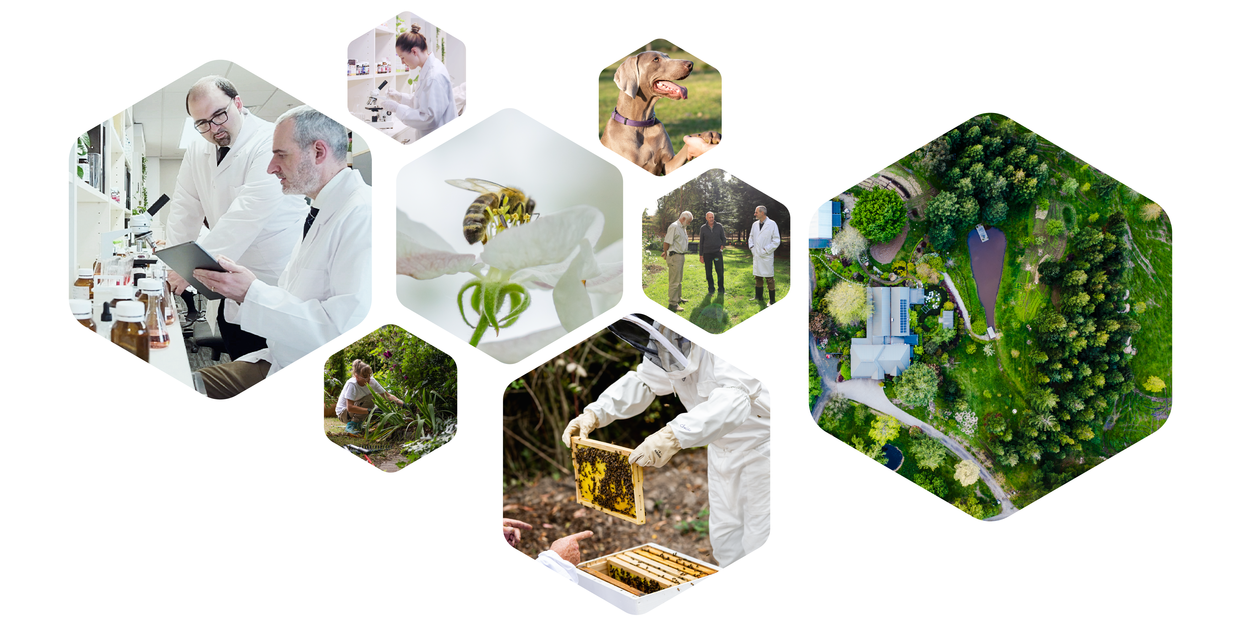 https://www.maxbiocare.com/wp-content/uploads/2022/08/max-biocare_innovation_mbc-institute_1200x6002-01.png